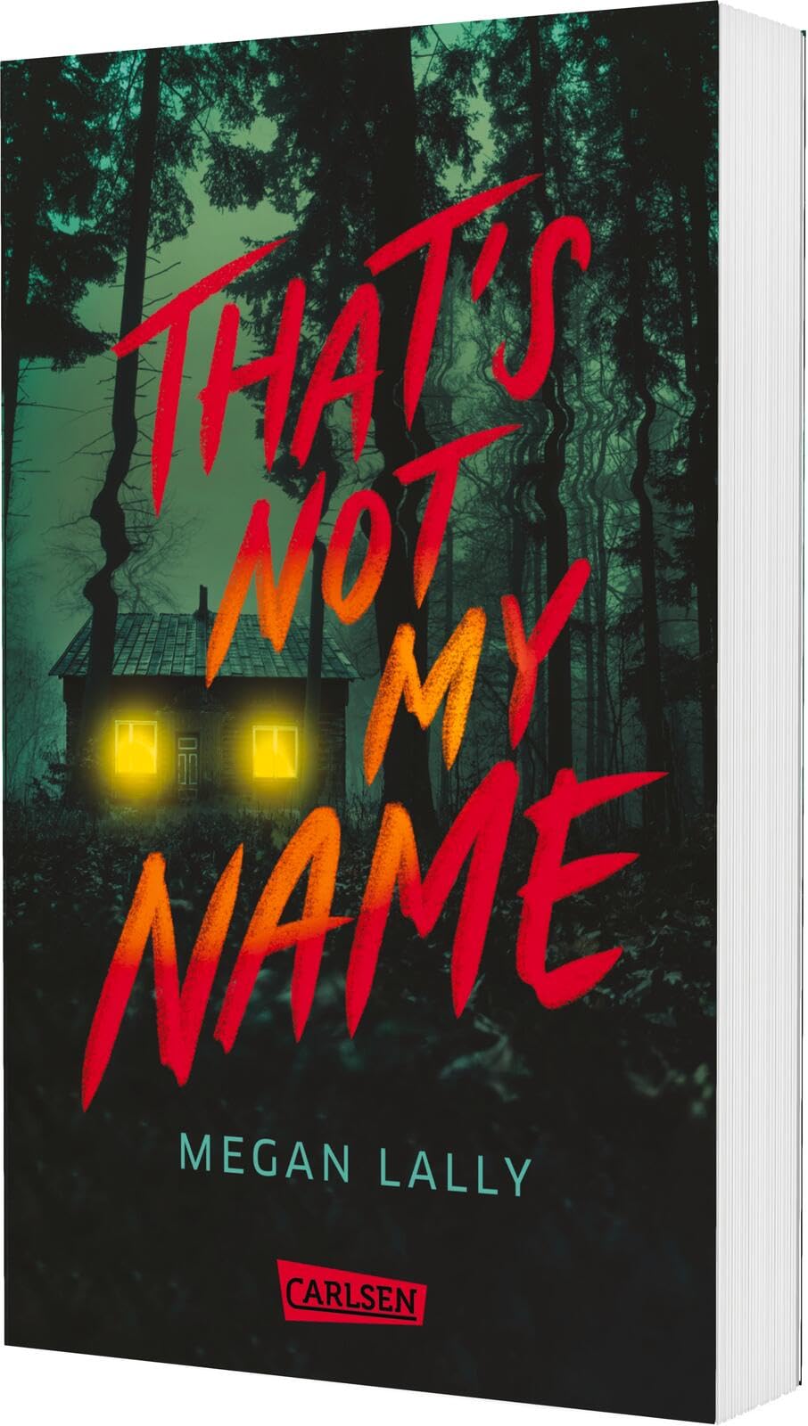 That's Not My Name Law Books