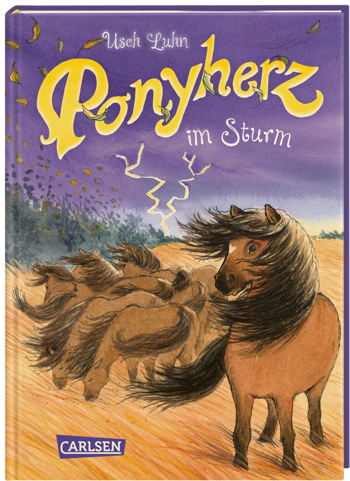 Ponyherz 14: Ponyherz im Sturm Novels & Short Stories