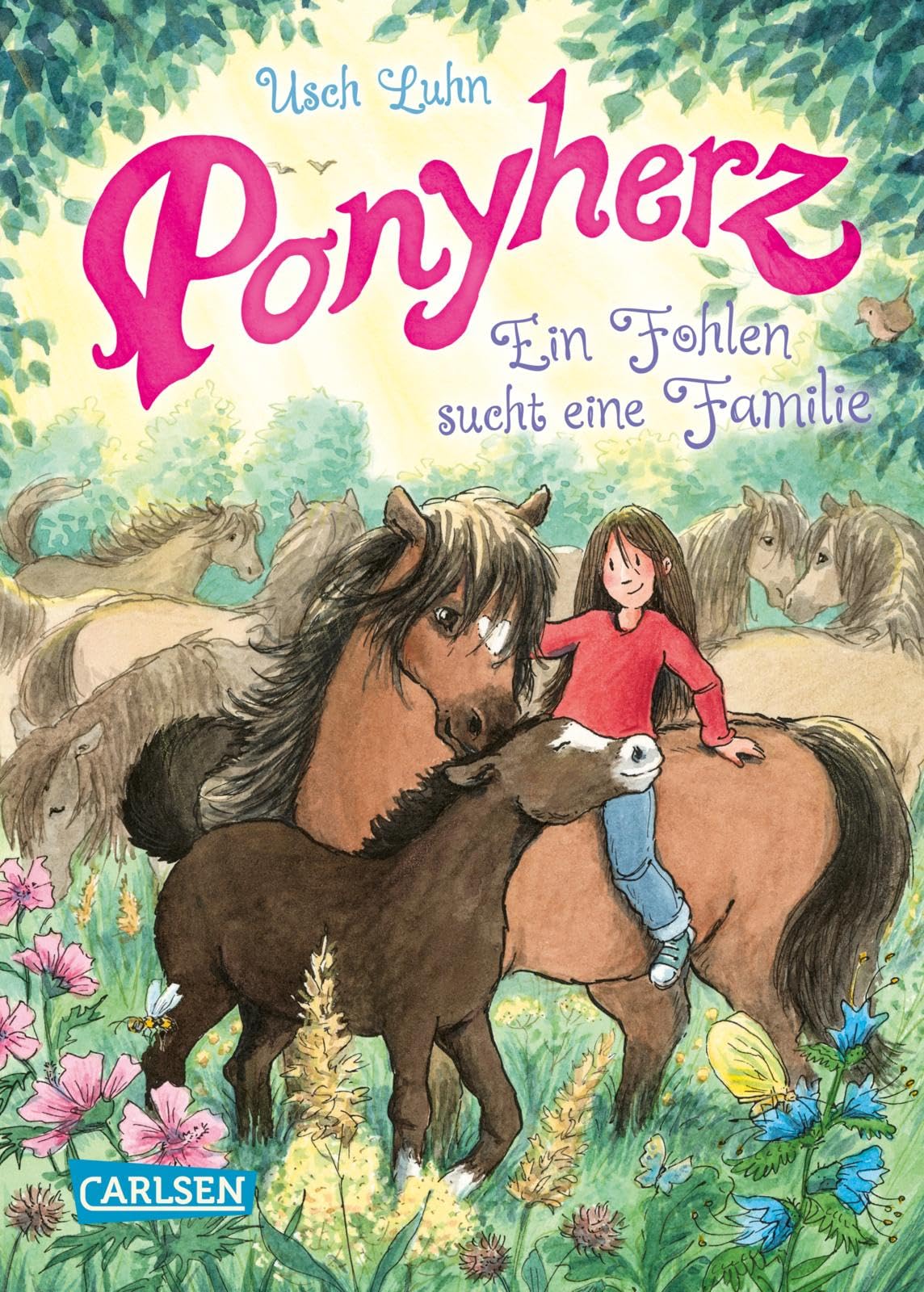 Ponyherz 24: Ein Fohlen sucht eine Familie Non-fiction