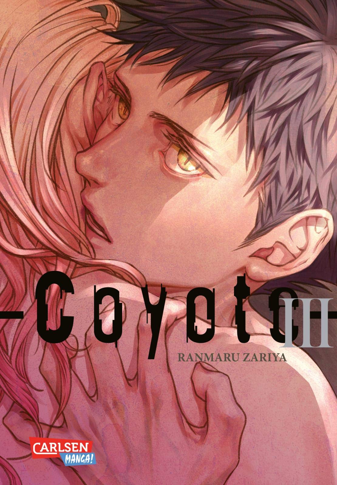 Product Image: Coyote 3