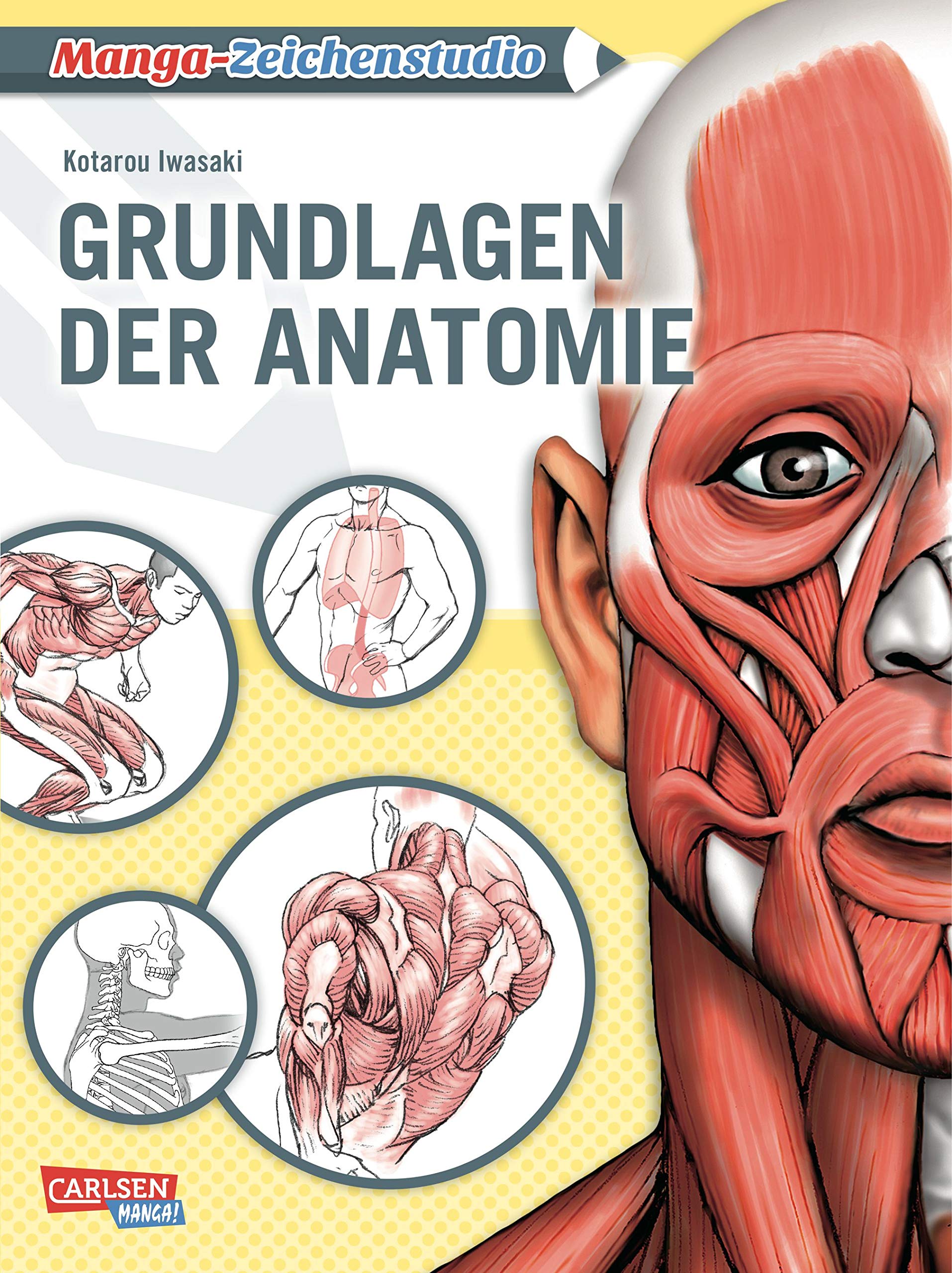 Grundlagen der Anatomie Manga