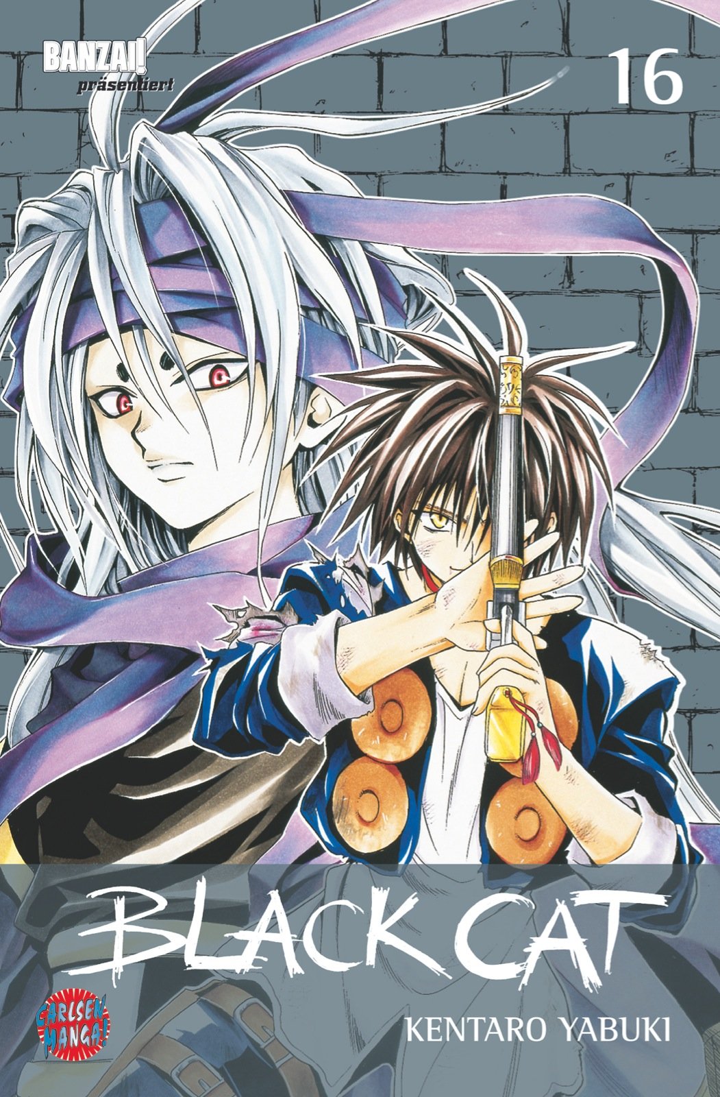 Black Cat, Band 16: Die Wahrheit über Tao Manga