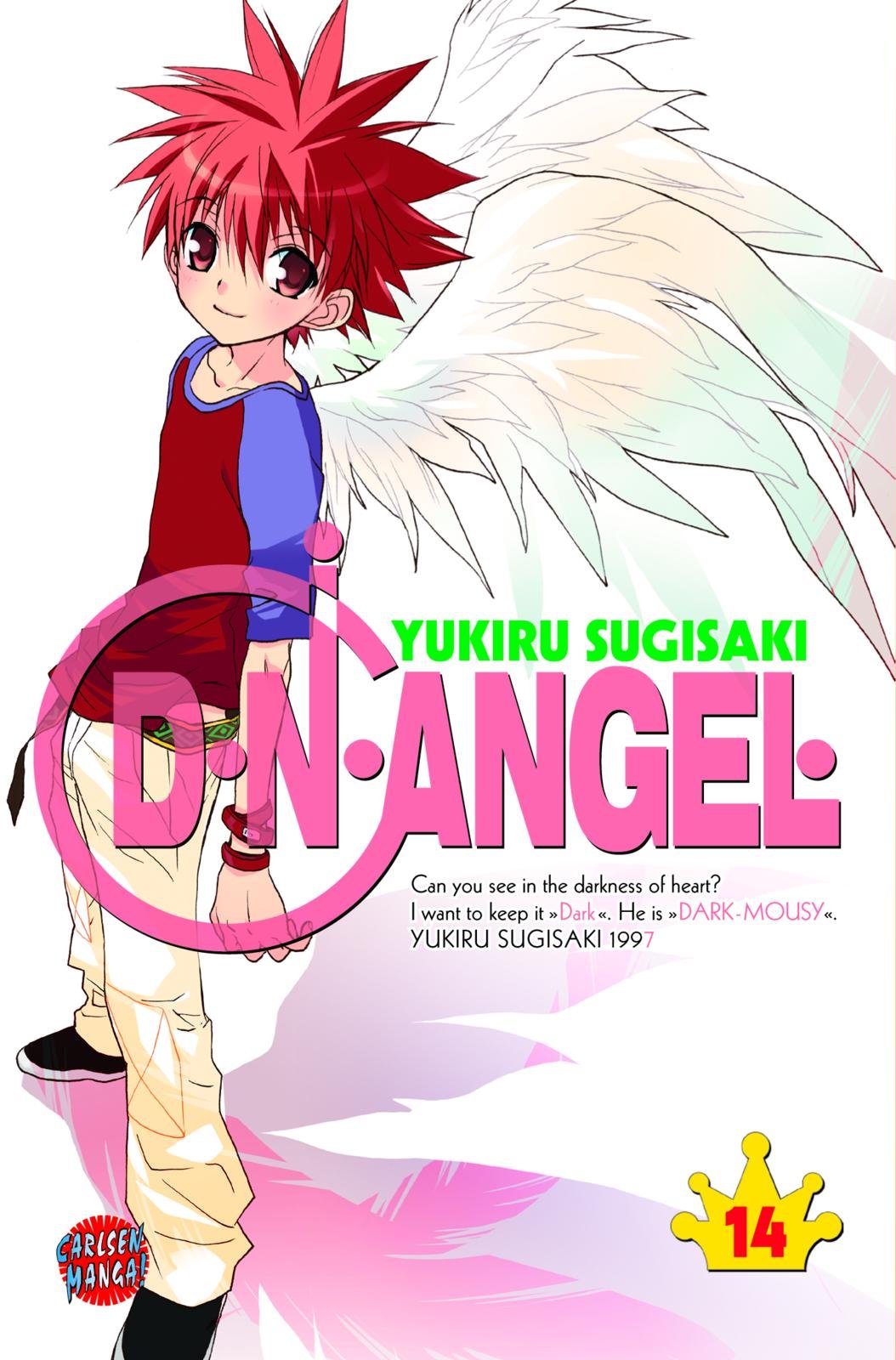 Product Image: D.N. Angel 14