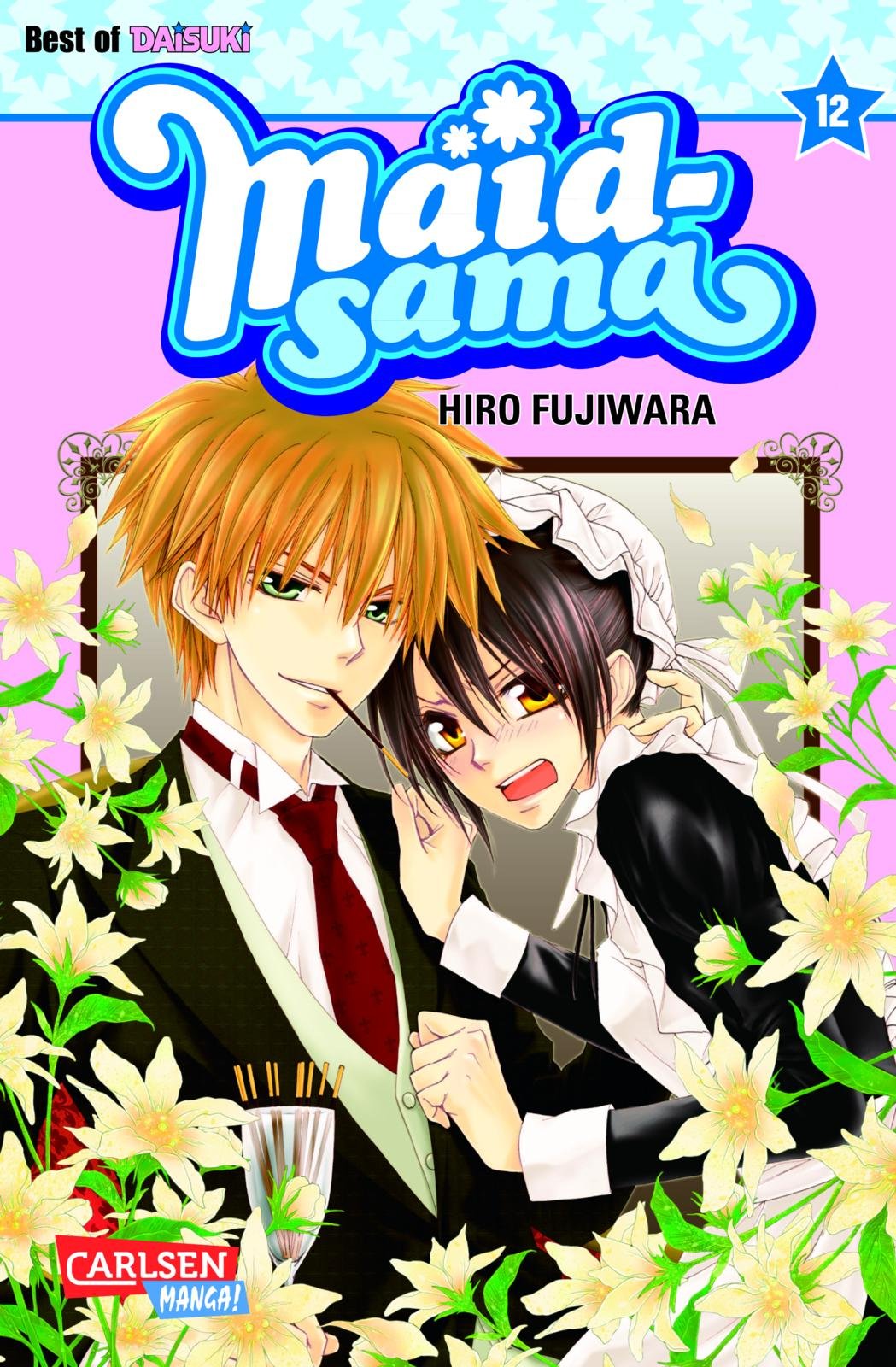 Product Image: Maid-sama 12