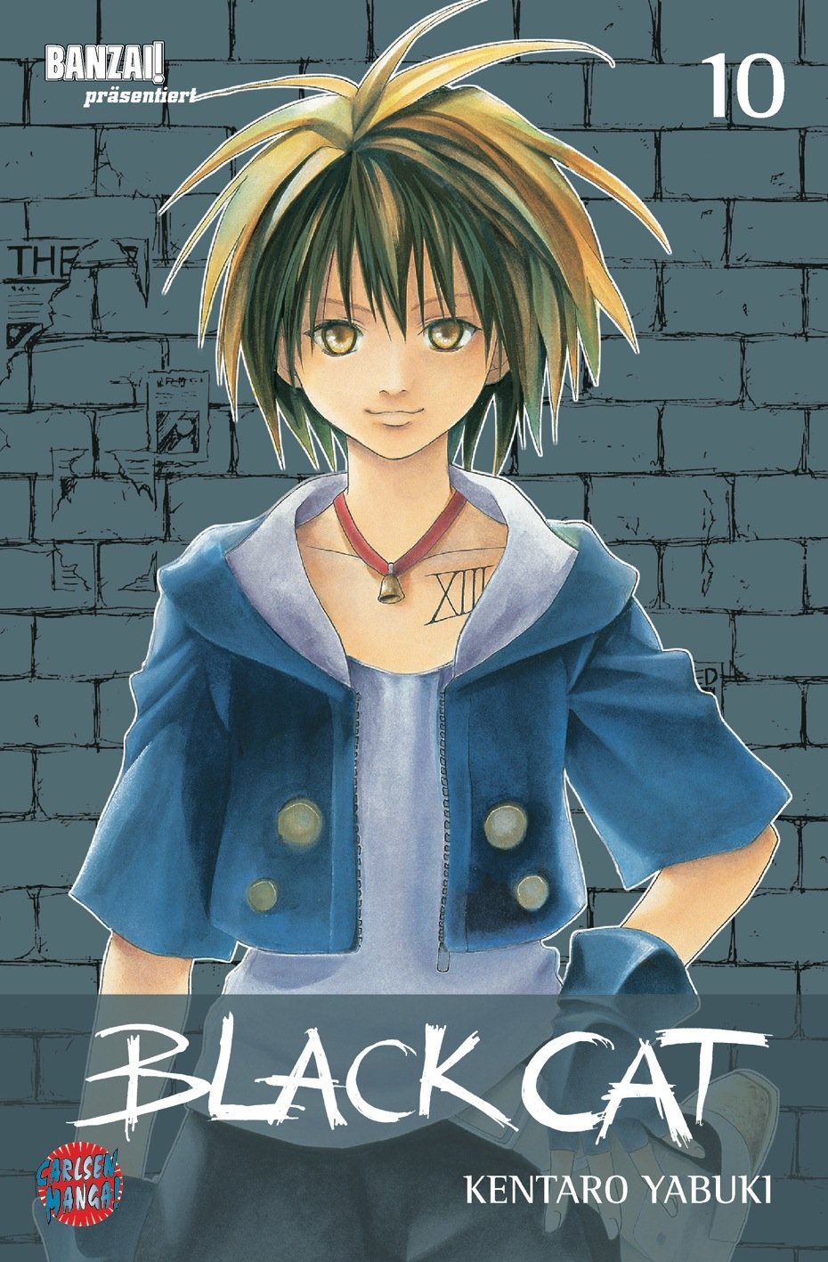 Black Cat, Band 10: Transformation Manga