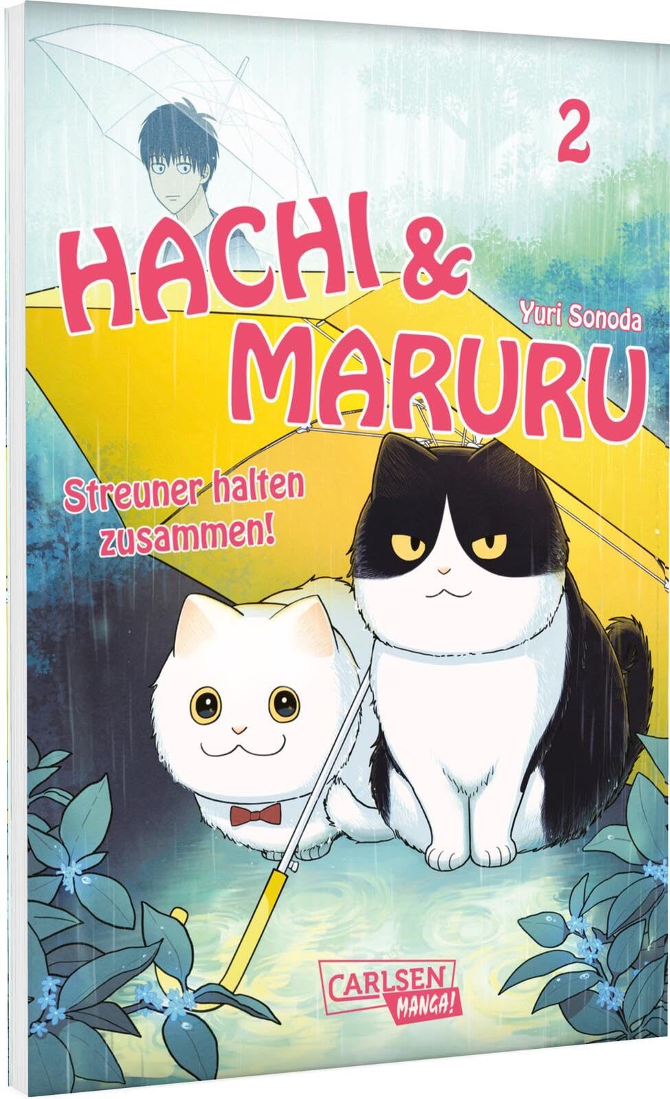 Hachi & Maruru - Streuner halten zusammen! 2 Manga