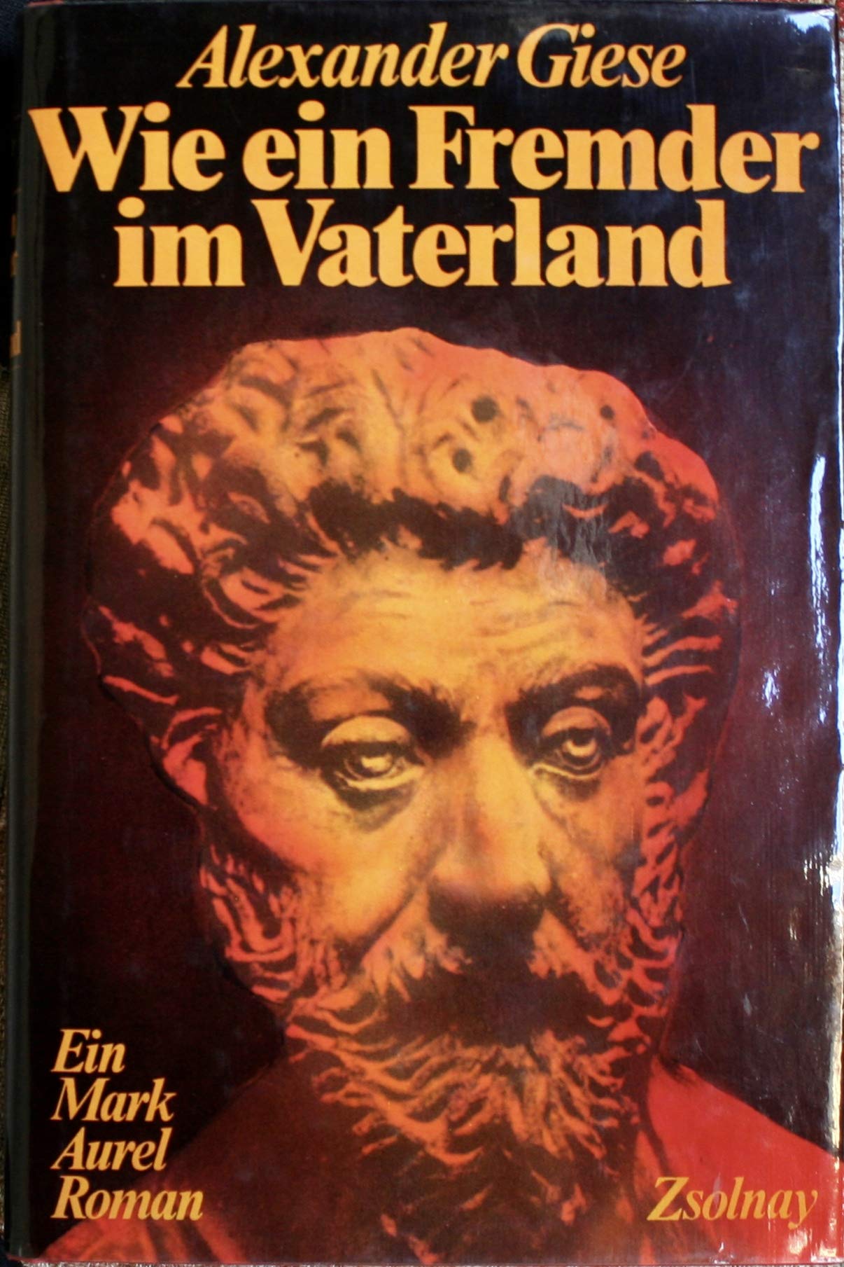 Wie ein Fremder im Vaterland: Ein Mark Aurel Roman Books