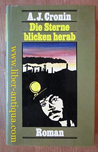 Die Sterne blicken herab: Roman Contemporary Romance