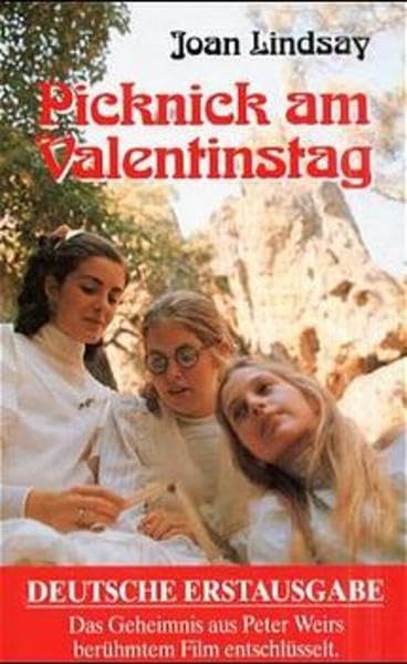 Picknick am Valentinstag: Roman Contemporary literature