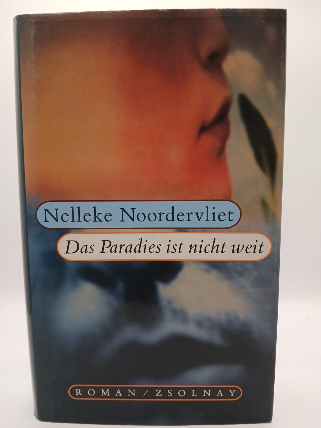 Das Paradies ist nicht weit: Roman Contemporary literature