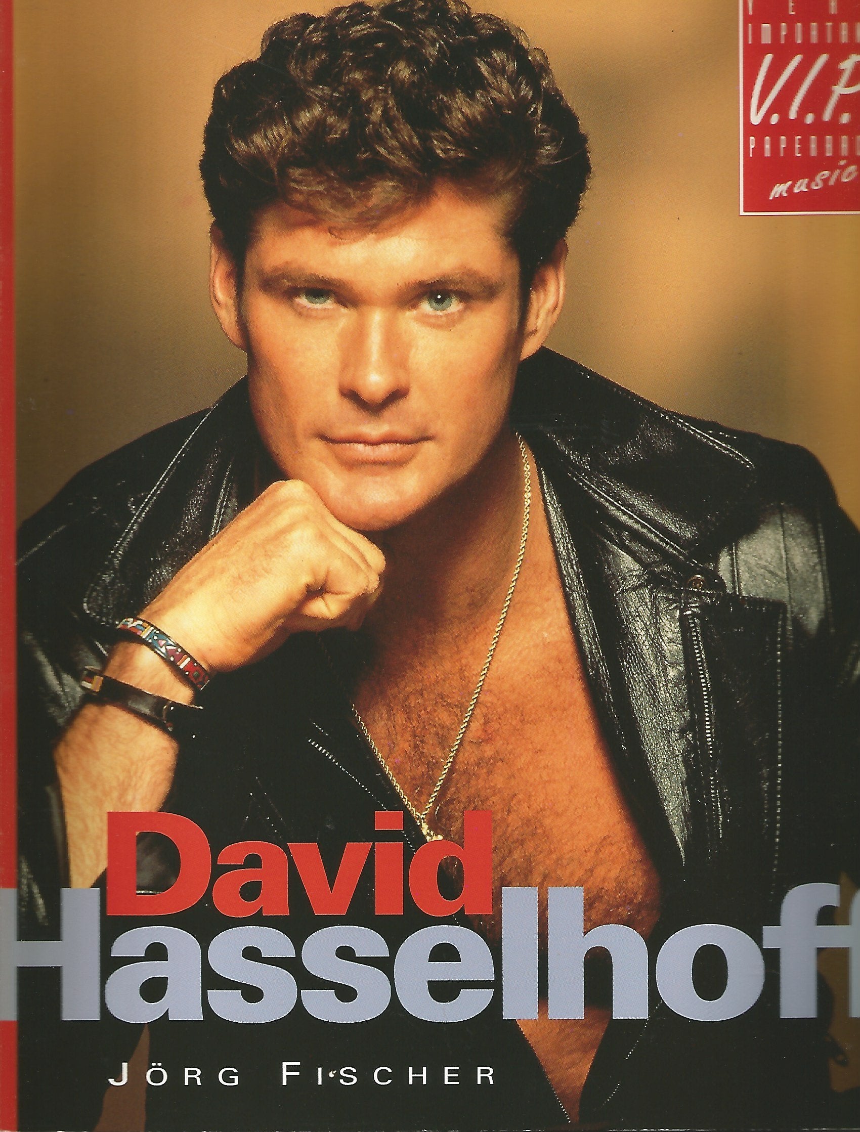 David Hasselhoff Pop culture Books
