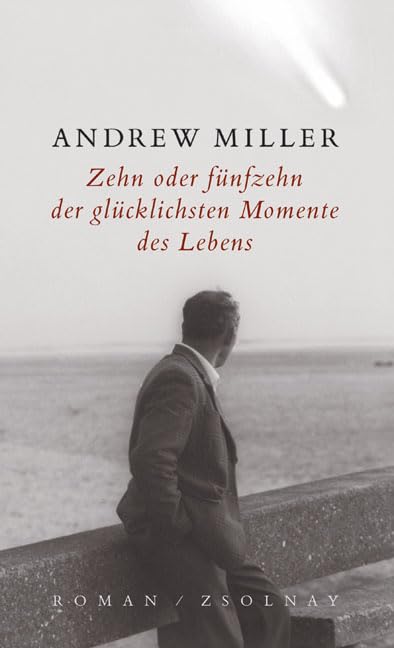 Zehn oder fünfzehn der glücklichsten Momente des Lebens: Roman Contemporary literature