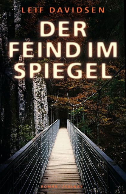 Der Feind im Spiegel Contemporary literature Books