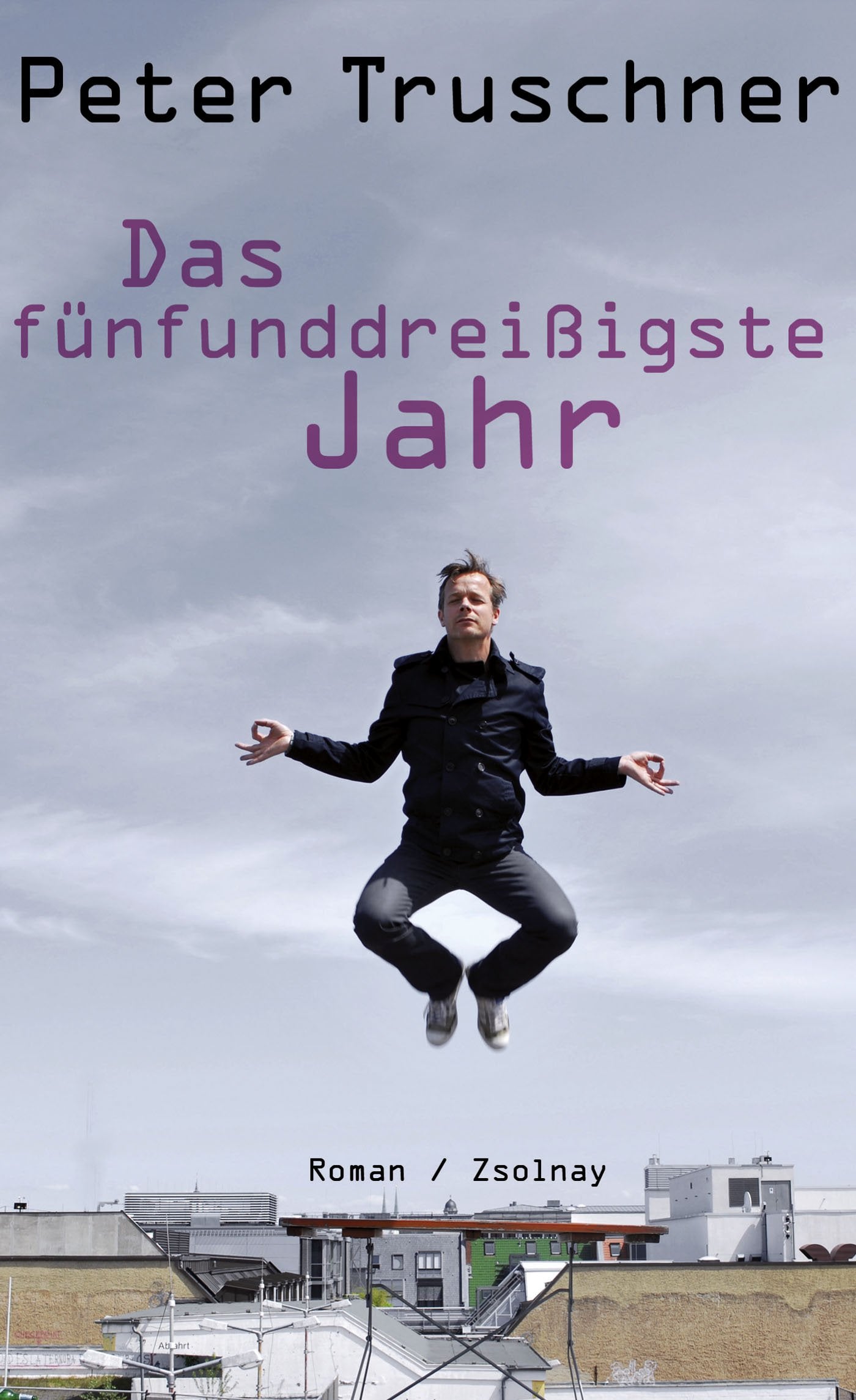 Product Image: Das fünfunddreißigste Jahr