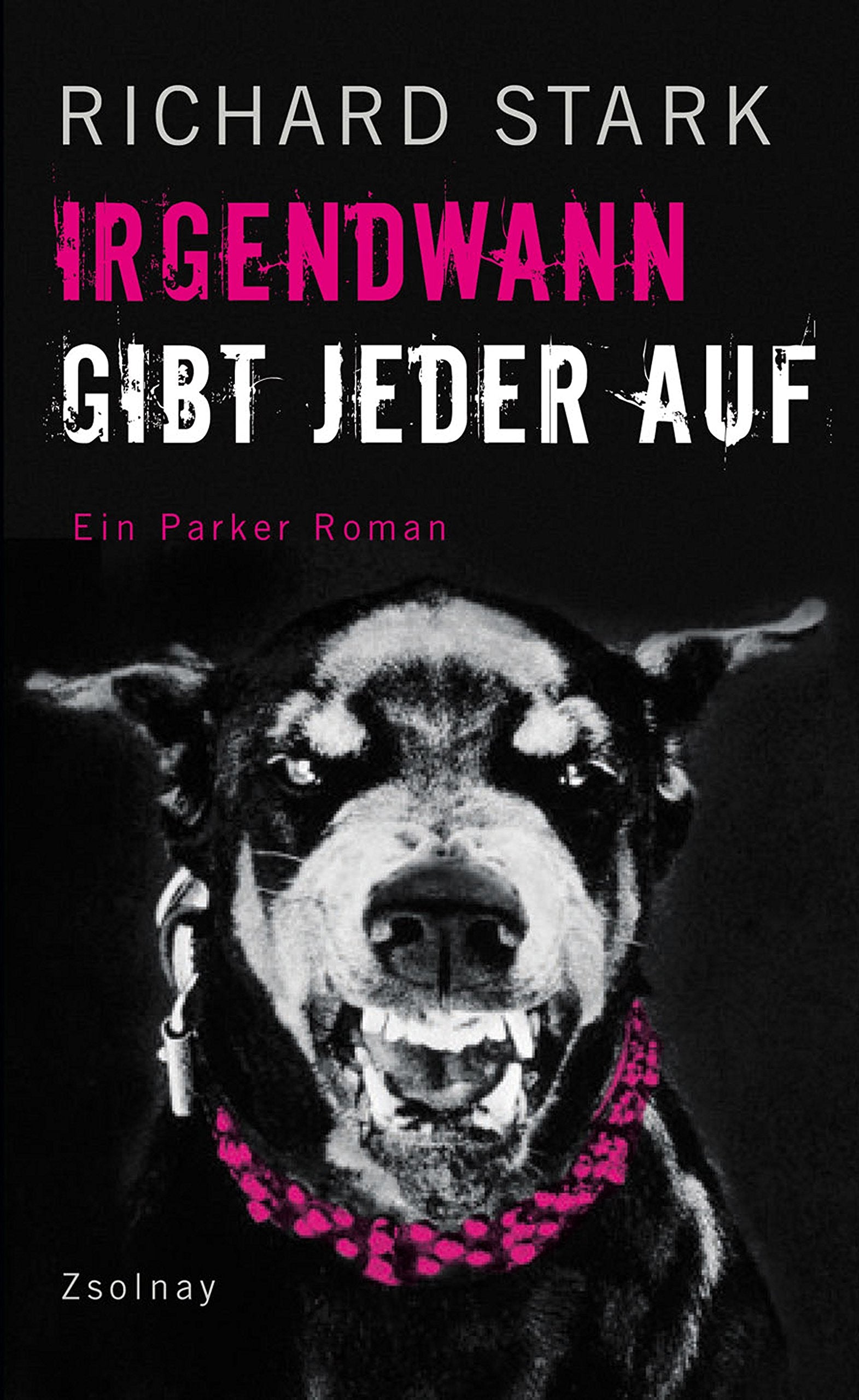 Irgendwann gibt jeder auf Contemporary literature