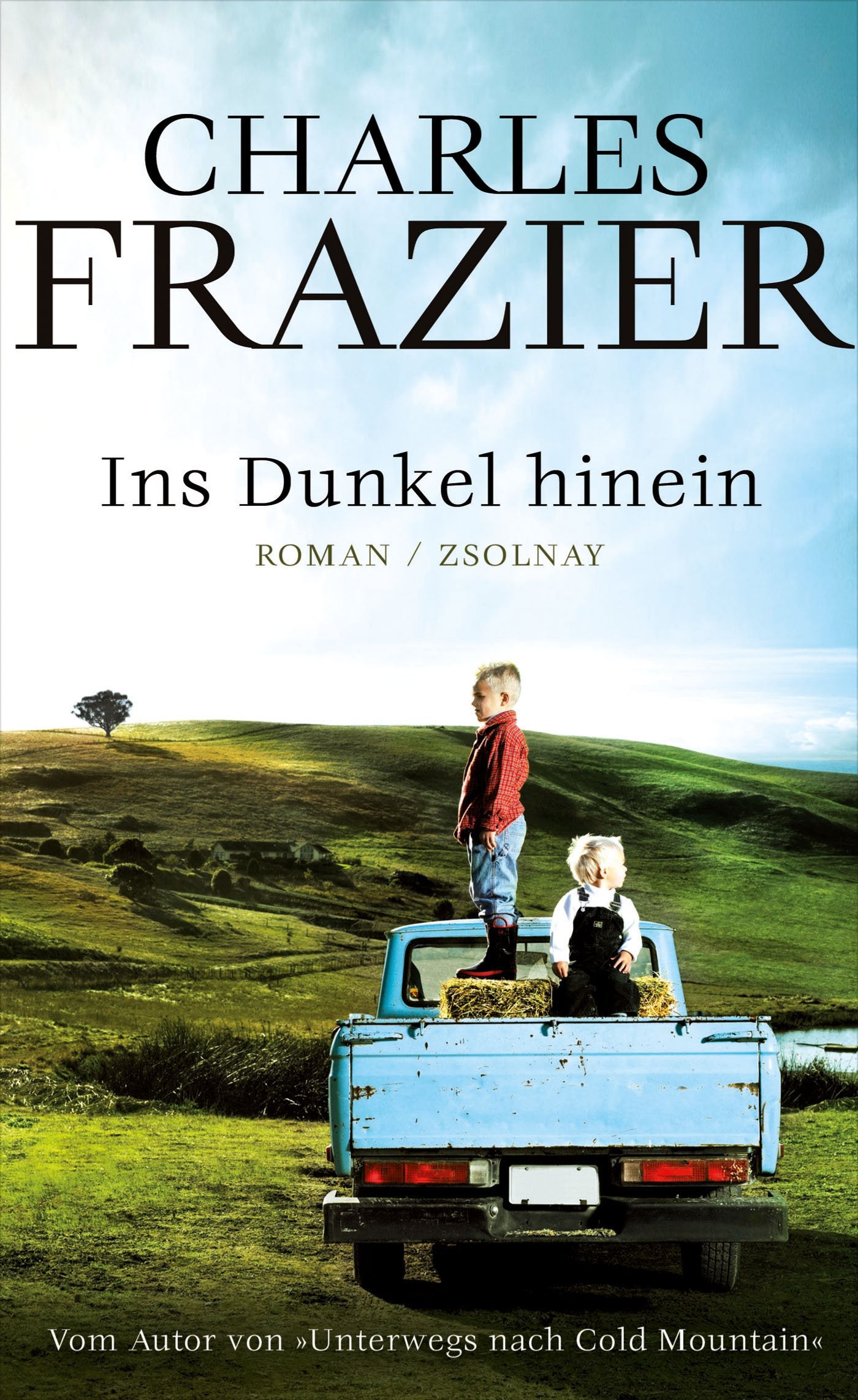 Ins Dunkel hinein: Roman Contemporary literature