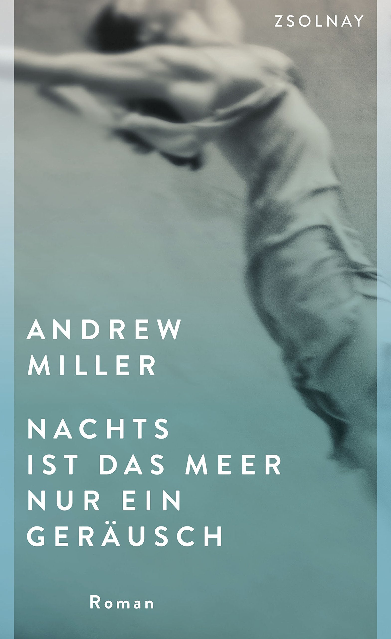 Nachts ist das Meer nur ein Geräusch: Roman Social Sciences