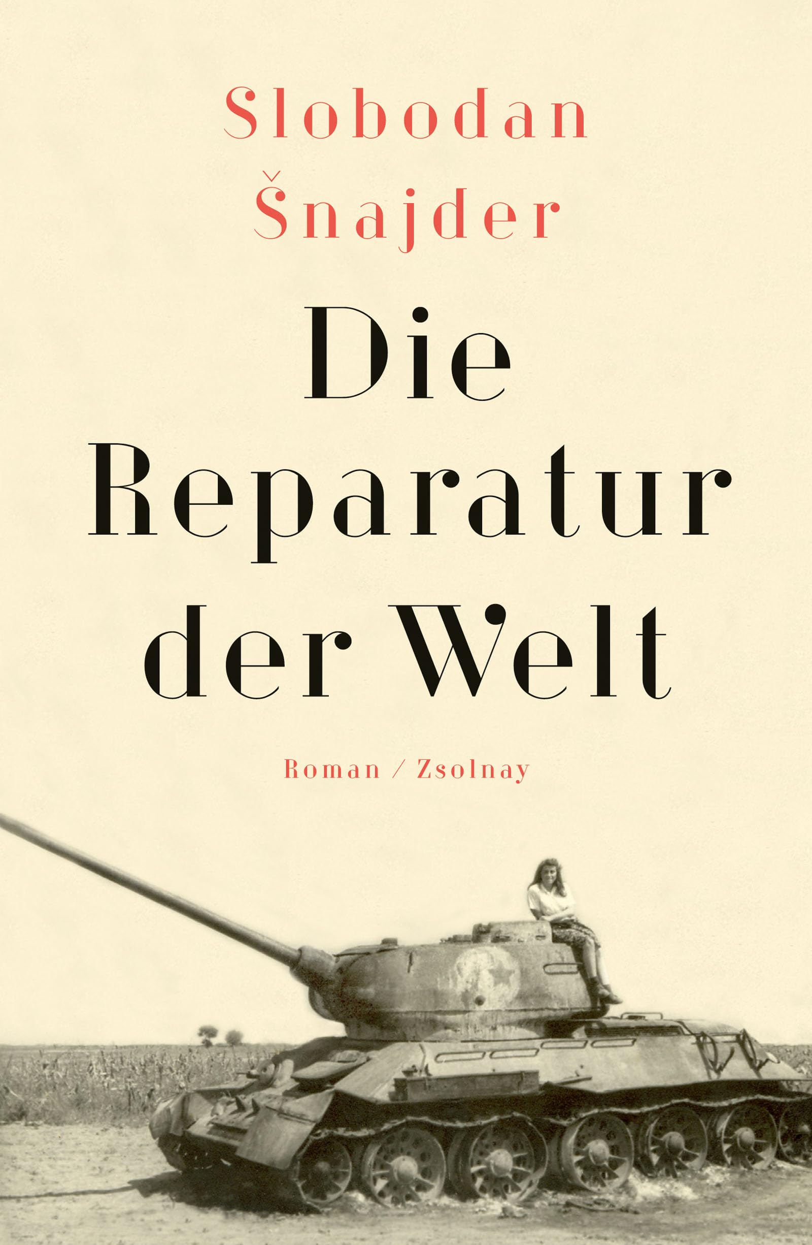 Die Reparatur der Welt Contemporary literature