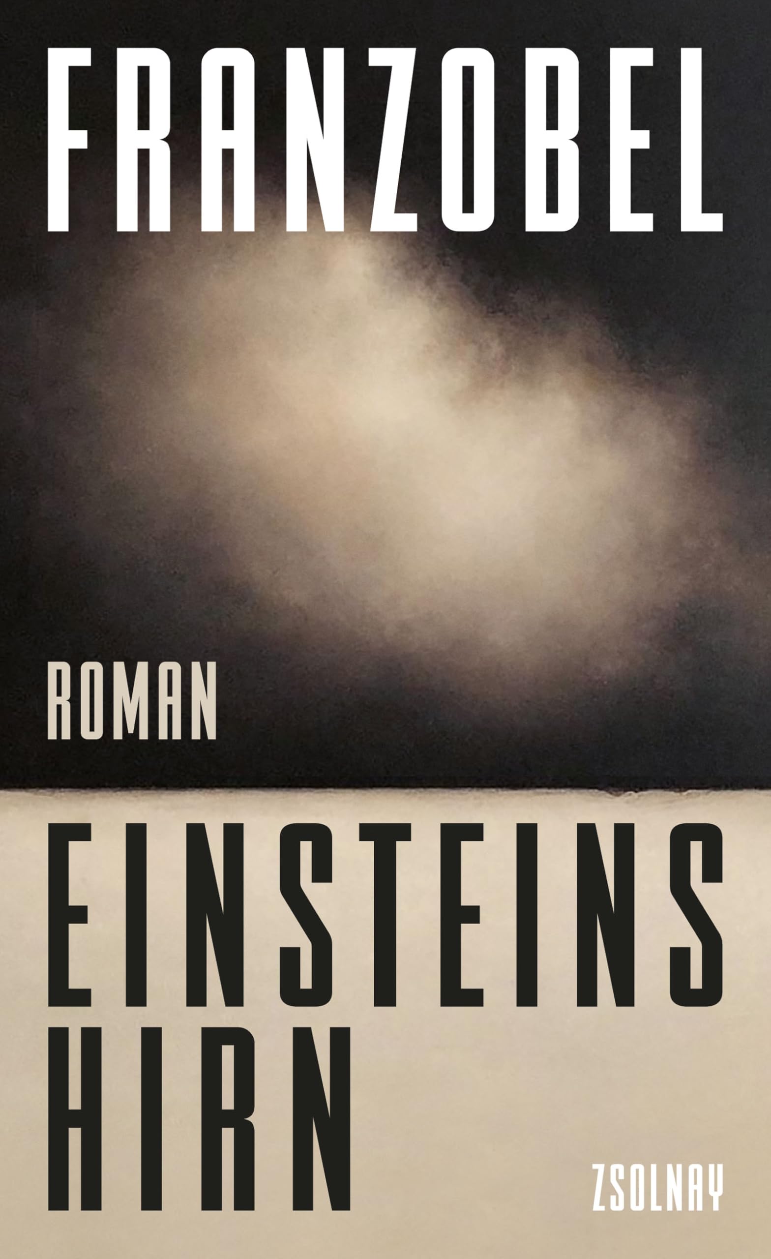 Einsteins Hirn Contemporary literature Books