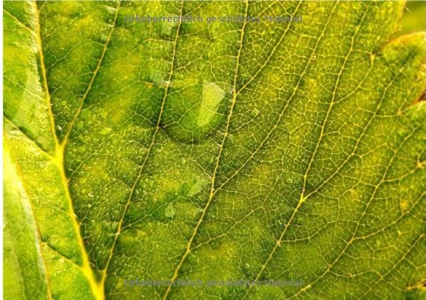 Auf der Farm Kalender 2026 – Individueller Planer für Ihre Notizen und Ideen Living & Furnishing