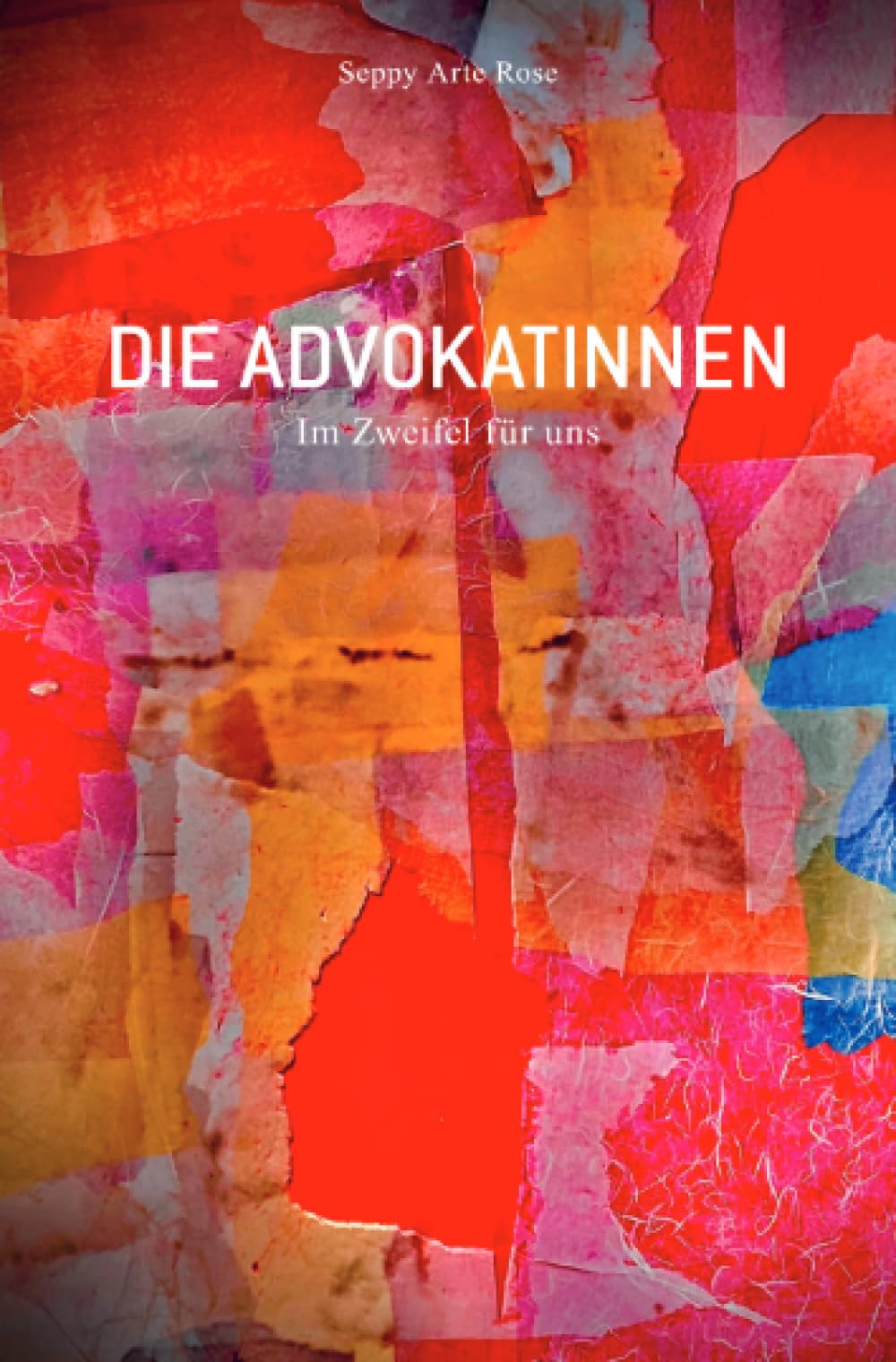 Die AdvokatInnen Band I: Im Zweifel für uns Action & Adventure