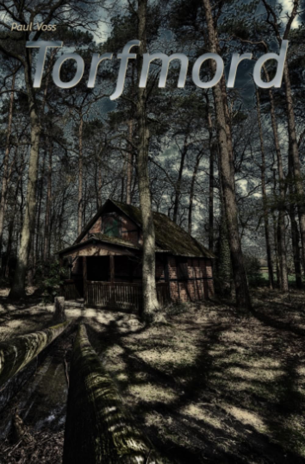 Torfmord: DE (Krimis aus dem Südkreis Nienburg) Action & Adventure