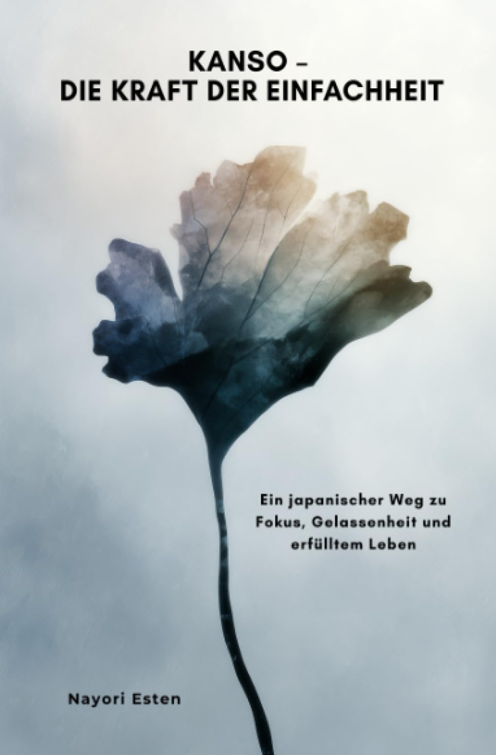 Kanso – Die Kraft der Einfachheit: Ein japanischer Weg zu Fokus, Gelassenheit und erfülltem Leben Philosophy