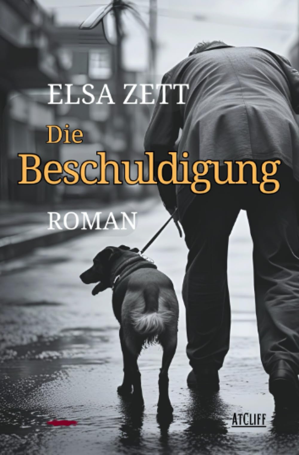 Die Beschuldigung: Roman Drama