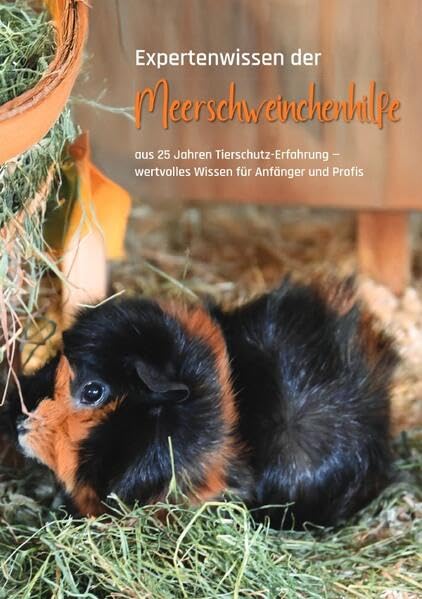 Expertenwissen der Meerschweinchenhilfe: aus 25 Jahren Tierschutz-Erfahrung - wertvolles Wissen für Anfänger und Profis Pets