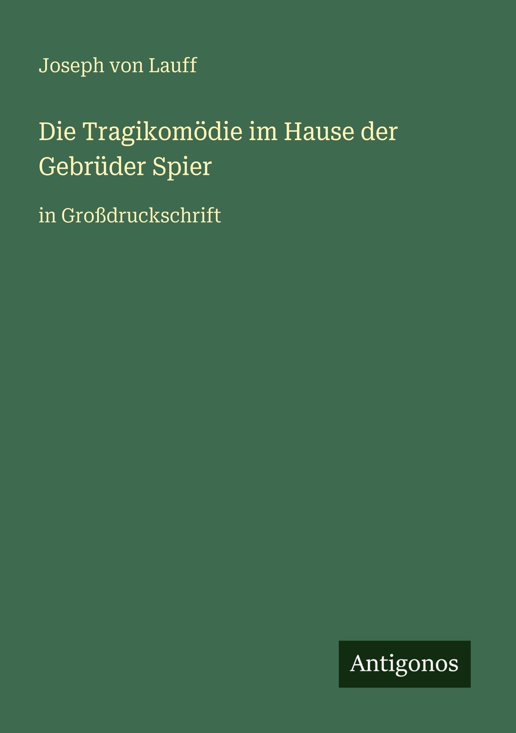 Die Tragikomödie im Hause der Gebrüder Spier book