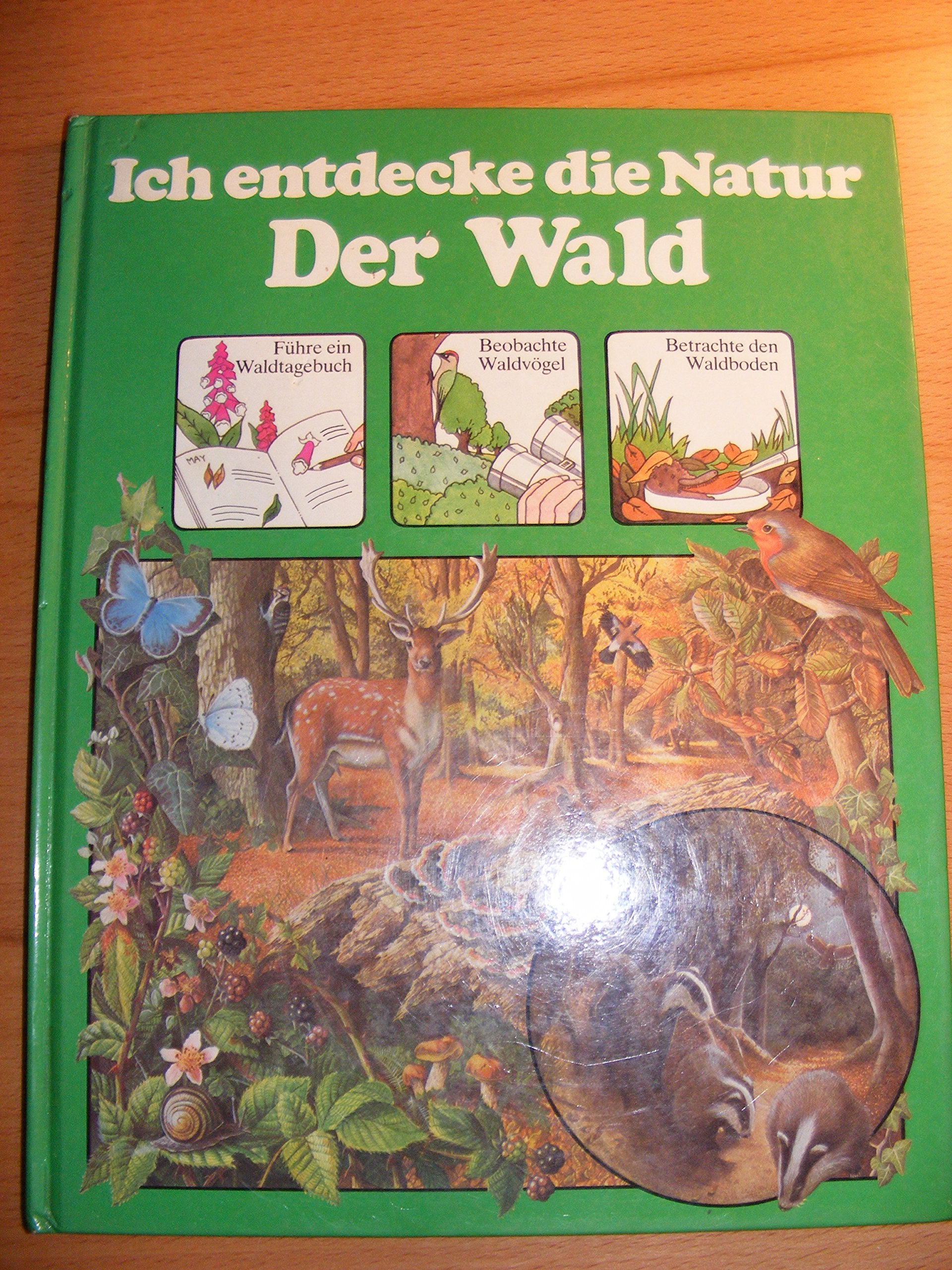 Ich entdecke die Natur. Der Wald Books