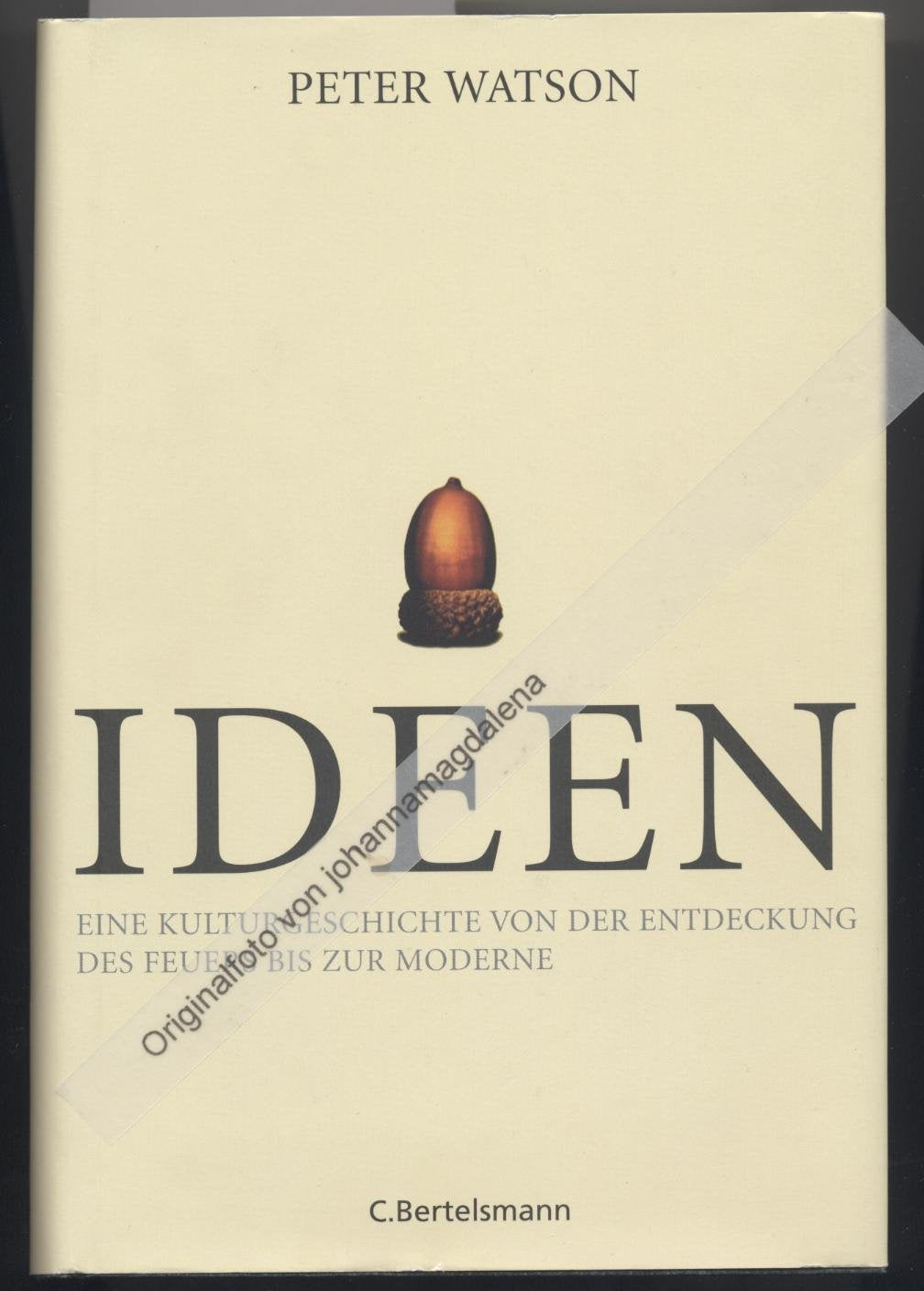 Ideen: Eine Kulturgeschichte von der Entdeckung des Feuers bis zur Moderne Film, Art & Culture