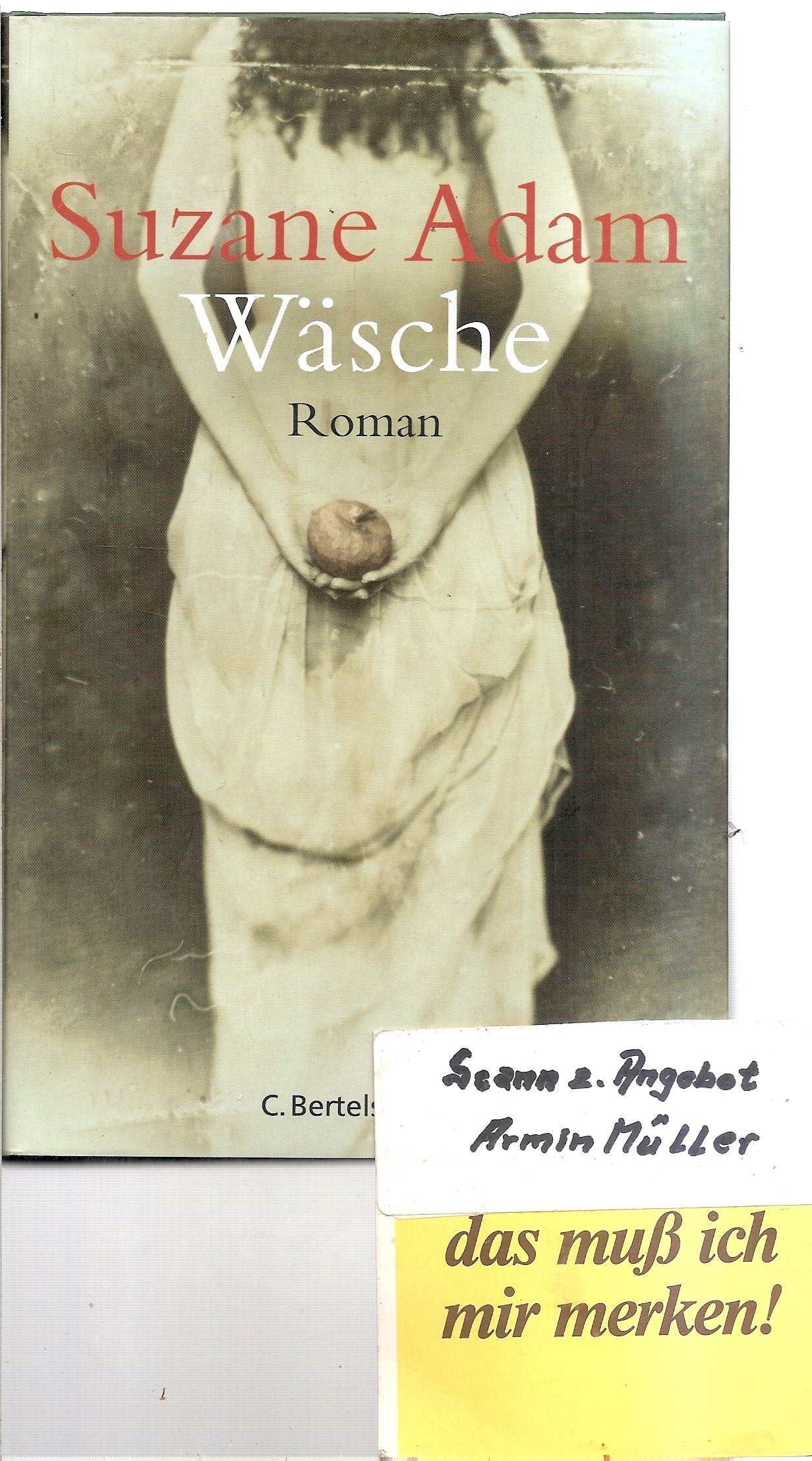 Wäsche: Roman (Hardcover Fiction) Contemporary literature
