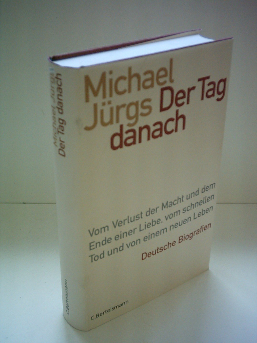 Der Tag danach: Vom Verlust der Macht und dem Ende einer Liebe, vom schnellen Tod und von einem neuen Leben Deutsche Biografien (Hardcover Non-Fiction) Politics & Society Books