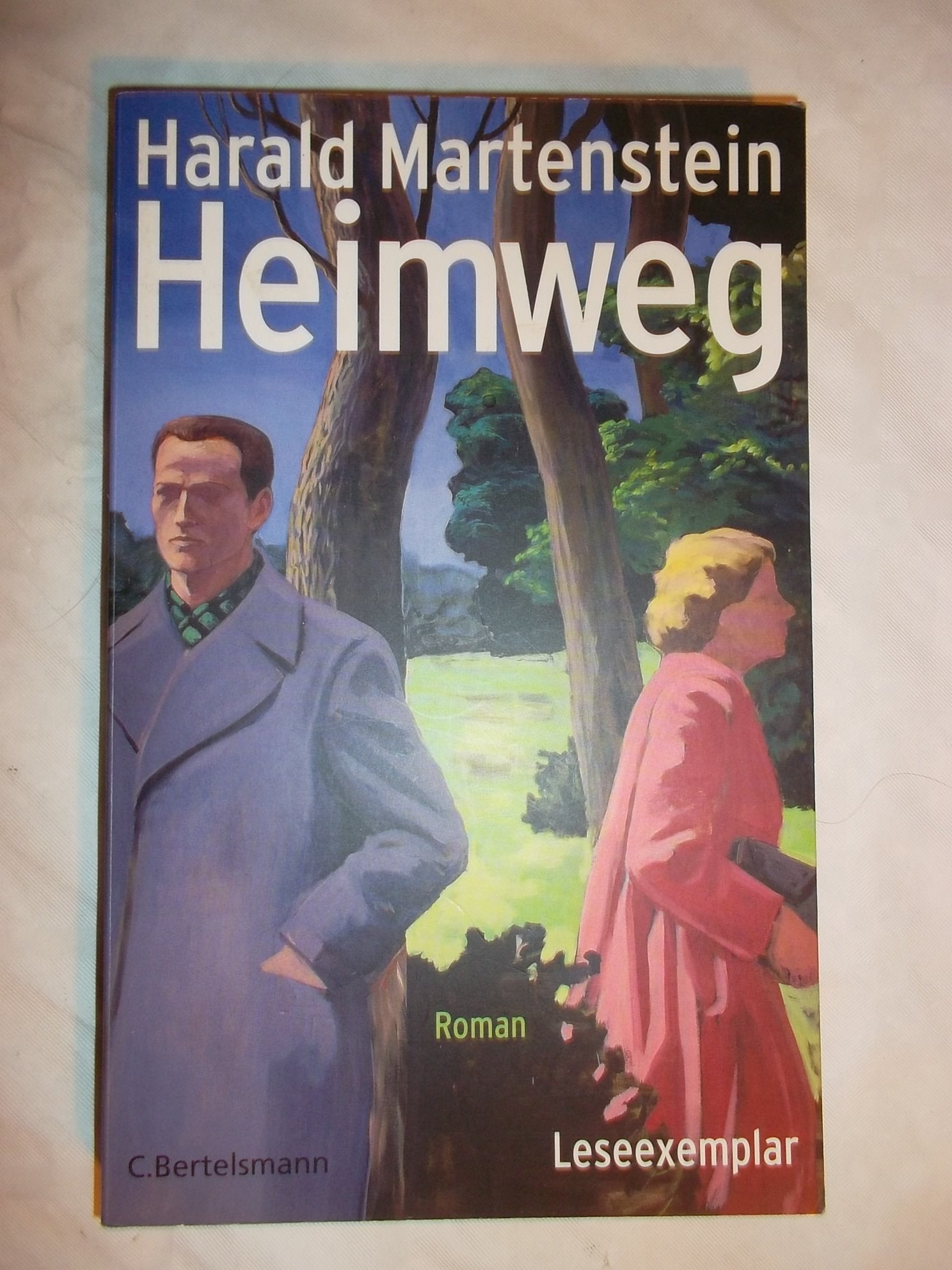 Heimweg: Roman Contemporary literature Books