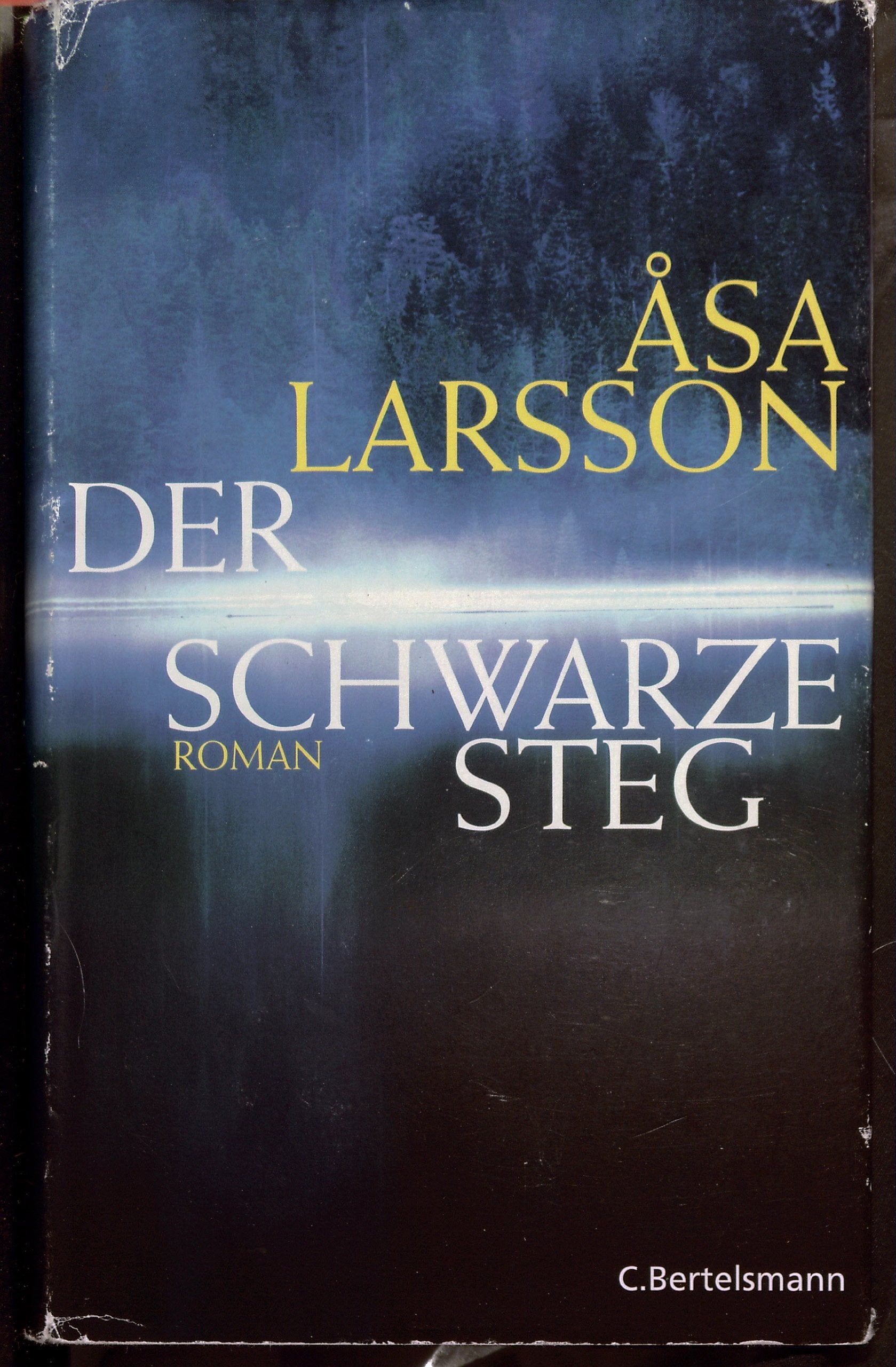 Product Image: Der schwarze Steg: Roman