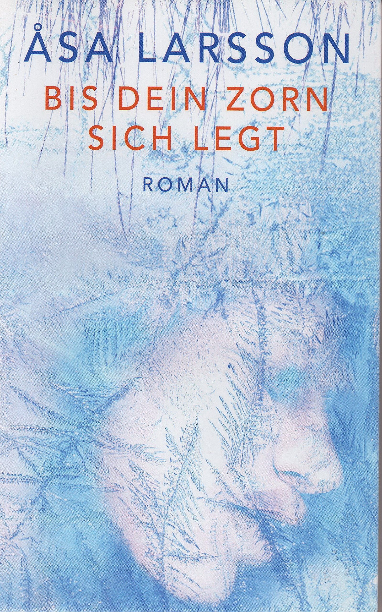 Bis dein Zorn sich legt: Roman Action & Adventure