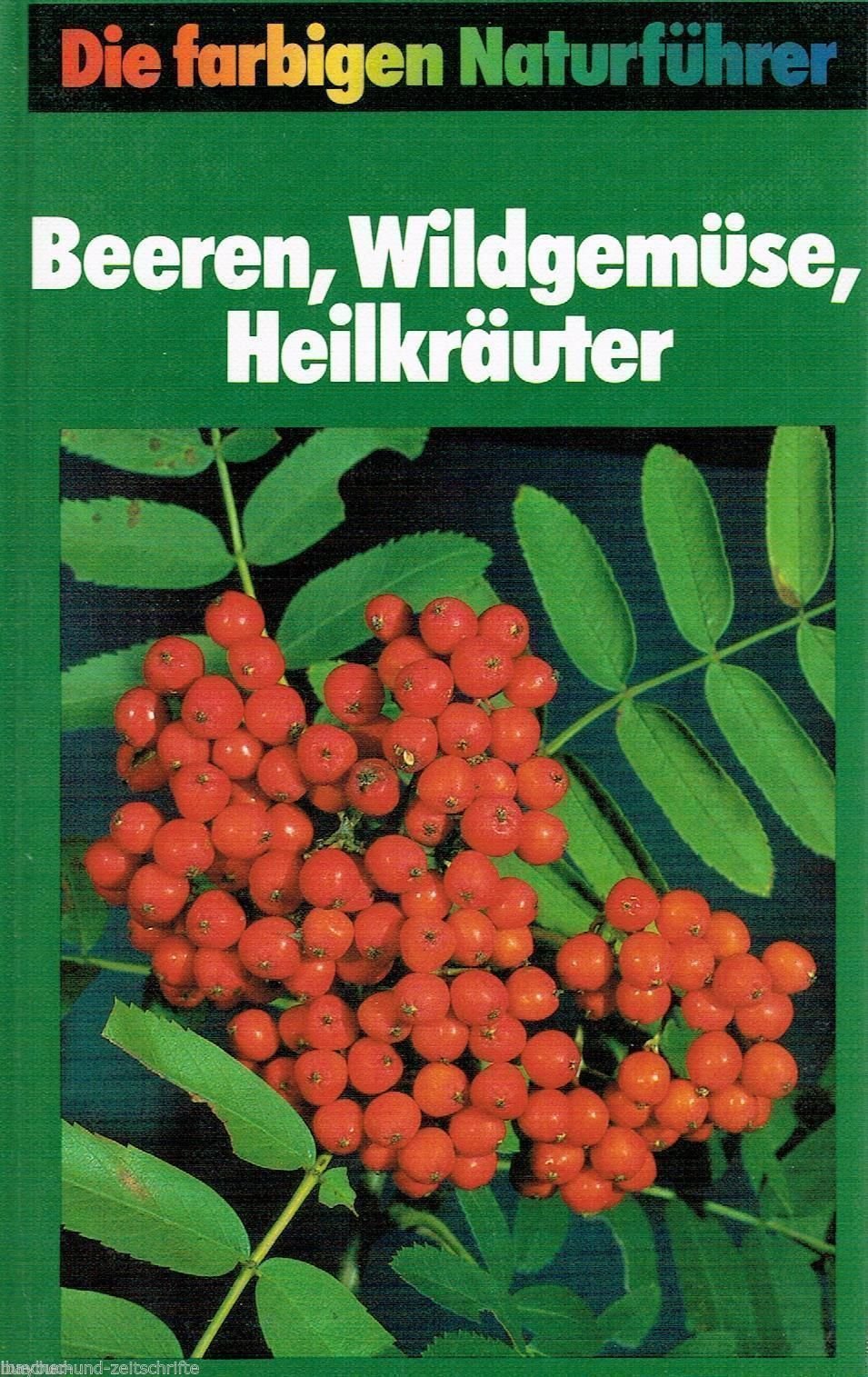 Beeren, Wildgemüse, Heilkräuter Business & Technology