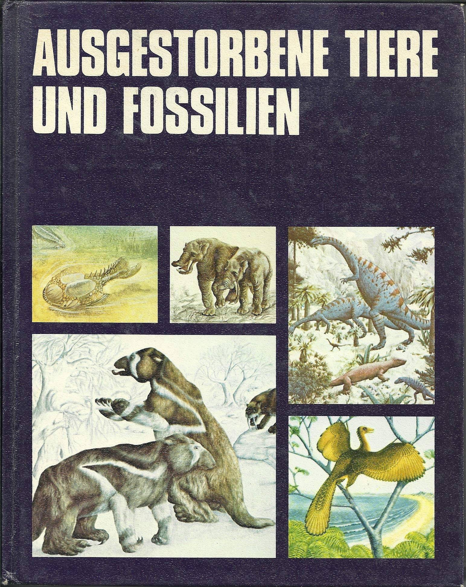 Ausgestorbene Tiere und Fossilien Business & Technology Books