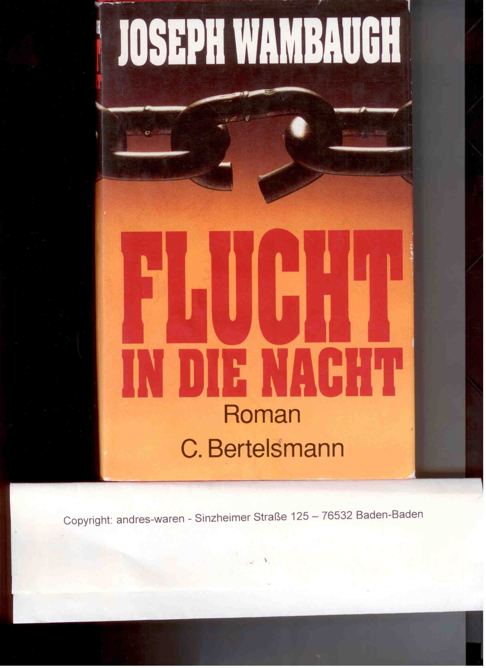 Flucht durch die Nacht: Roman Crime & Thrillers