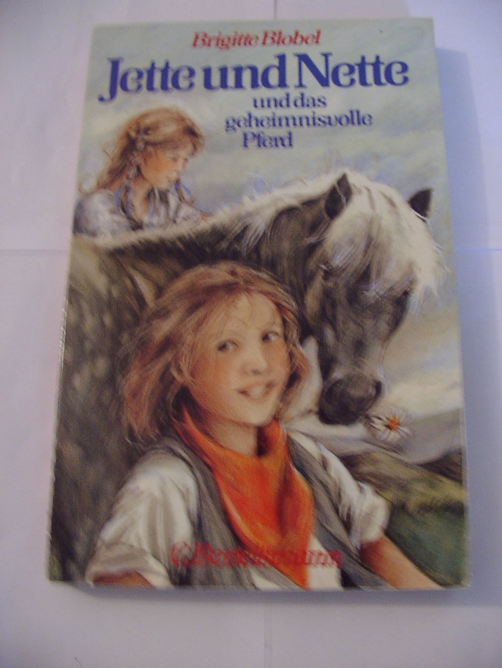 Jette und Nette und das geheimnisvolle Pferd Books
