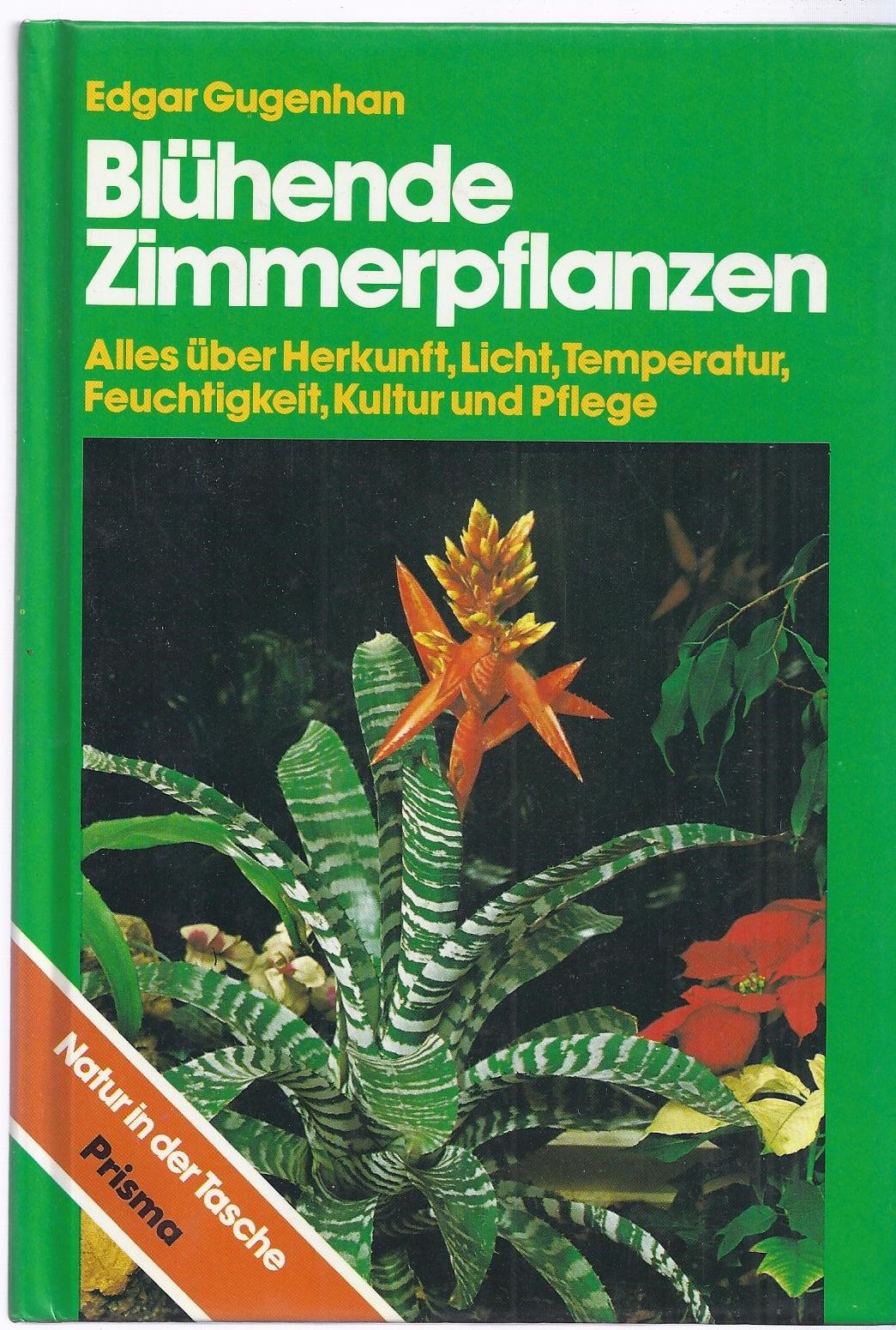 Blühende Zimmerpflanzen Books