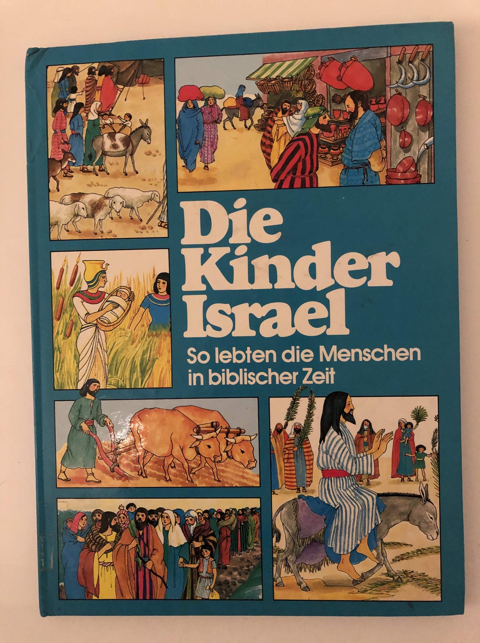 Die Kinder Israel: So lebten die Menschen in biblischer Zeit Books