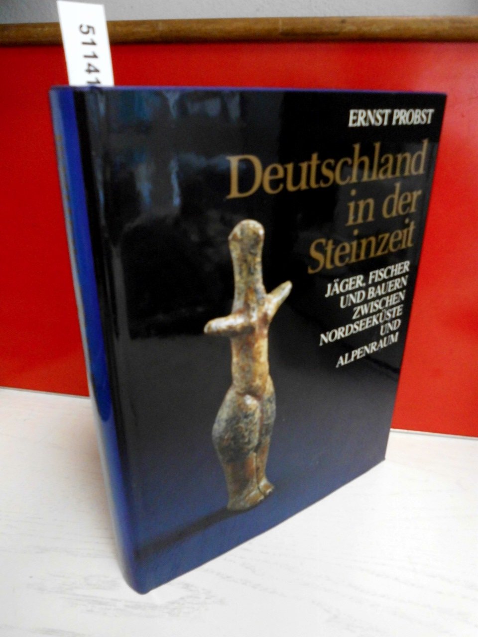 Deutschland in der Steinzeit: Jäger, Fischer und Bauern zwischen Nordseeküste und Alpenraum Politics & History