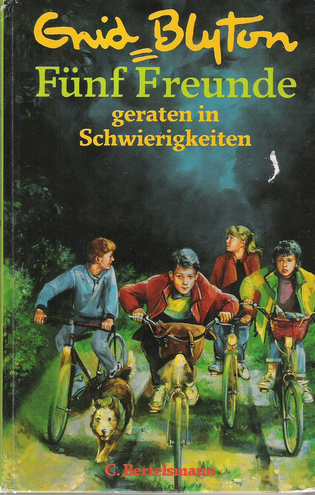 Fünf Freunde geraten in Schwierigkeiten Novels & Short Stories