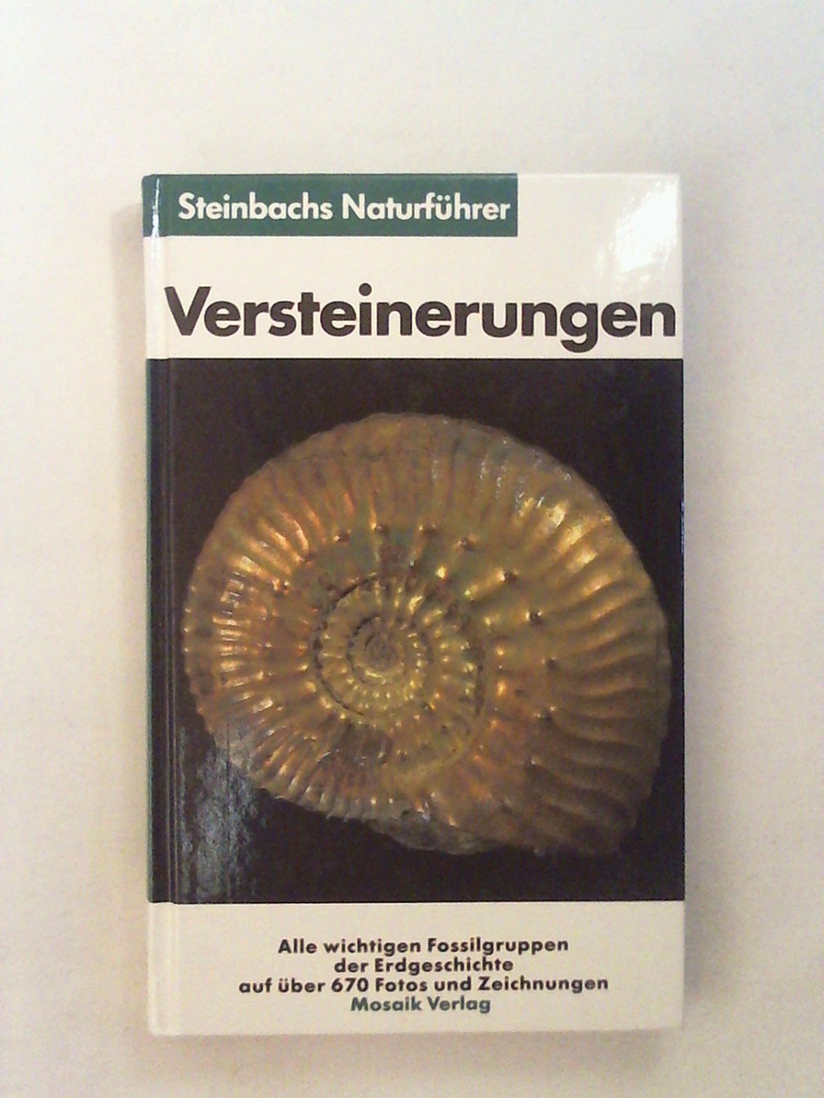 Versteinerungen : Fossilien der Wirbellosen mit Anhang Wirbeltiere und Pflanzen Books