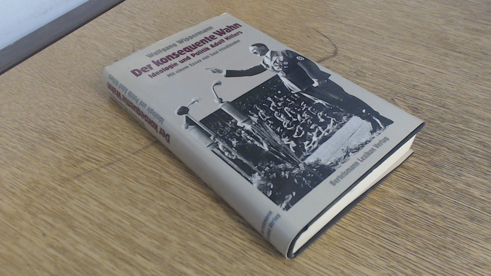 Der konsequente Wahn. Ideologie und Politik Adolf Hitlers Politics & Society