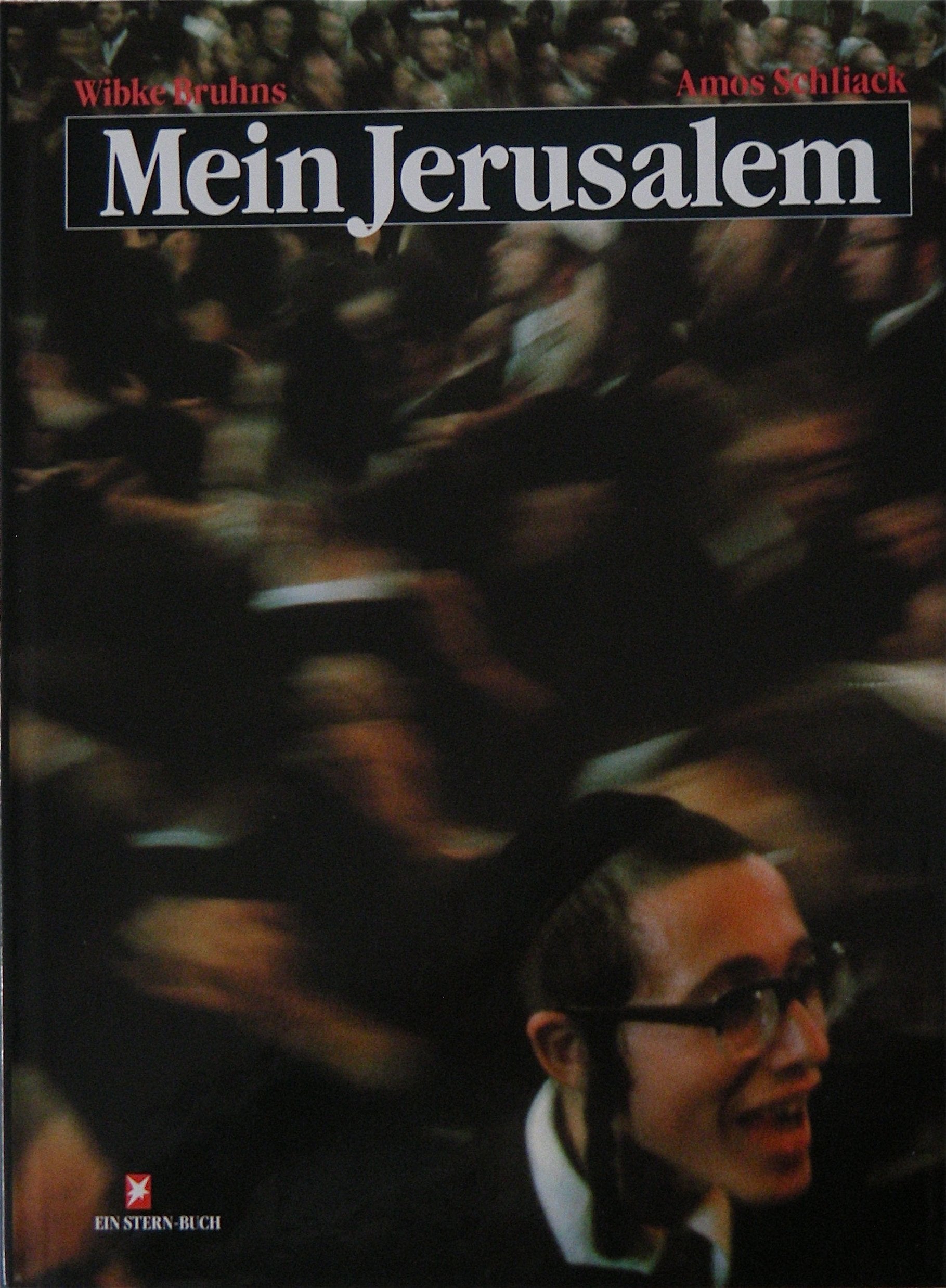 Mein Jerusalem Contemporary literature