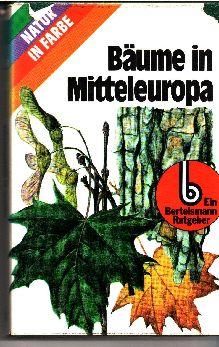 Bäume in Mitteleuropa Business & Technology