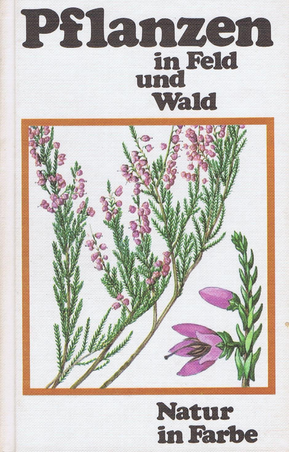 Pflanzen in Feld und Wald Leisure, Home & Garden